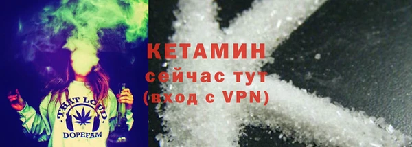 spice Богданович