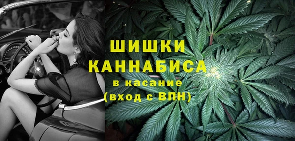 spice Богданович