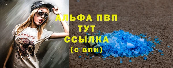 spice Богданович