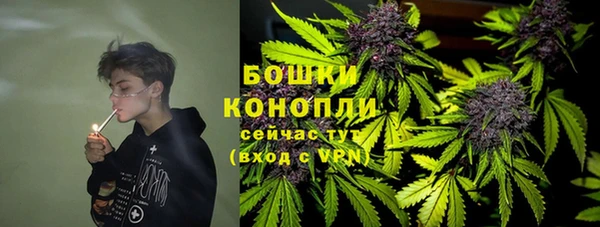 spice Богданович